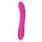 Real Dildo Vibrator for Women